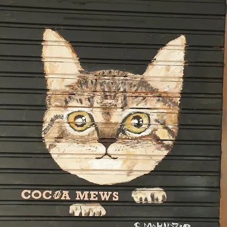 Cocoa Mews Cafe And Homestay-3